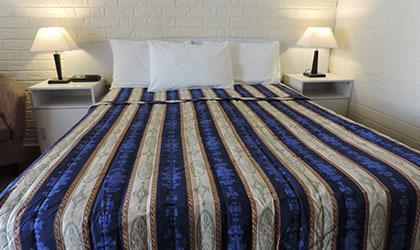 Bondi Motel Moree Bilik gambar